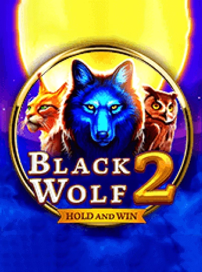 db54 new game